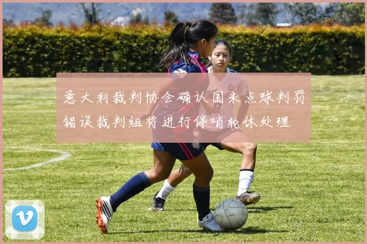 意大利裁判协会确认国米点球判罚错误裁判组将进行停哨轮休处理