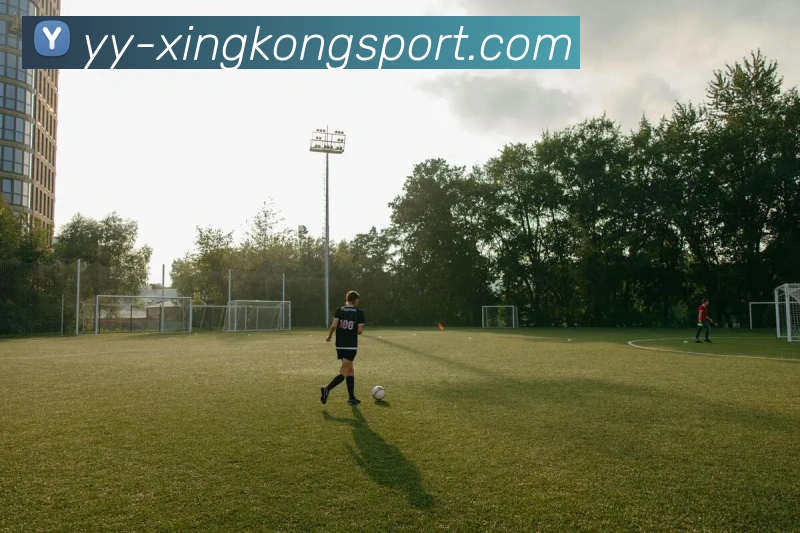 星空足球平台生态图