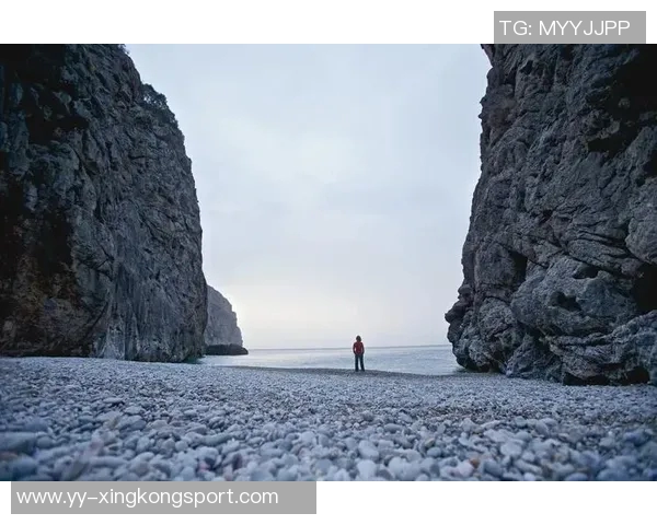 库明加蜕变引发热议理智思考与技术提升同样关键